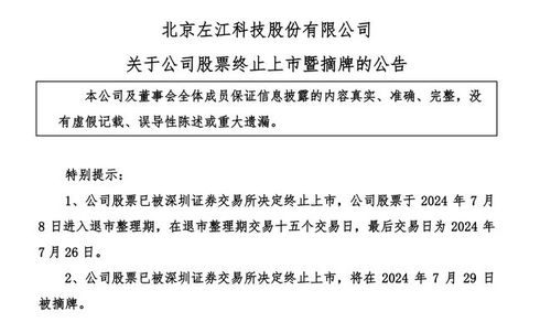 從巔峰墜落 曾對(duì)標(biāo)英偉達(dá)的網(wǎng)絡(luò)安全股，股價(jià)從299元到1元的退市警示錄